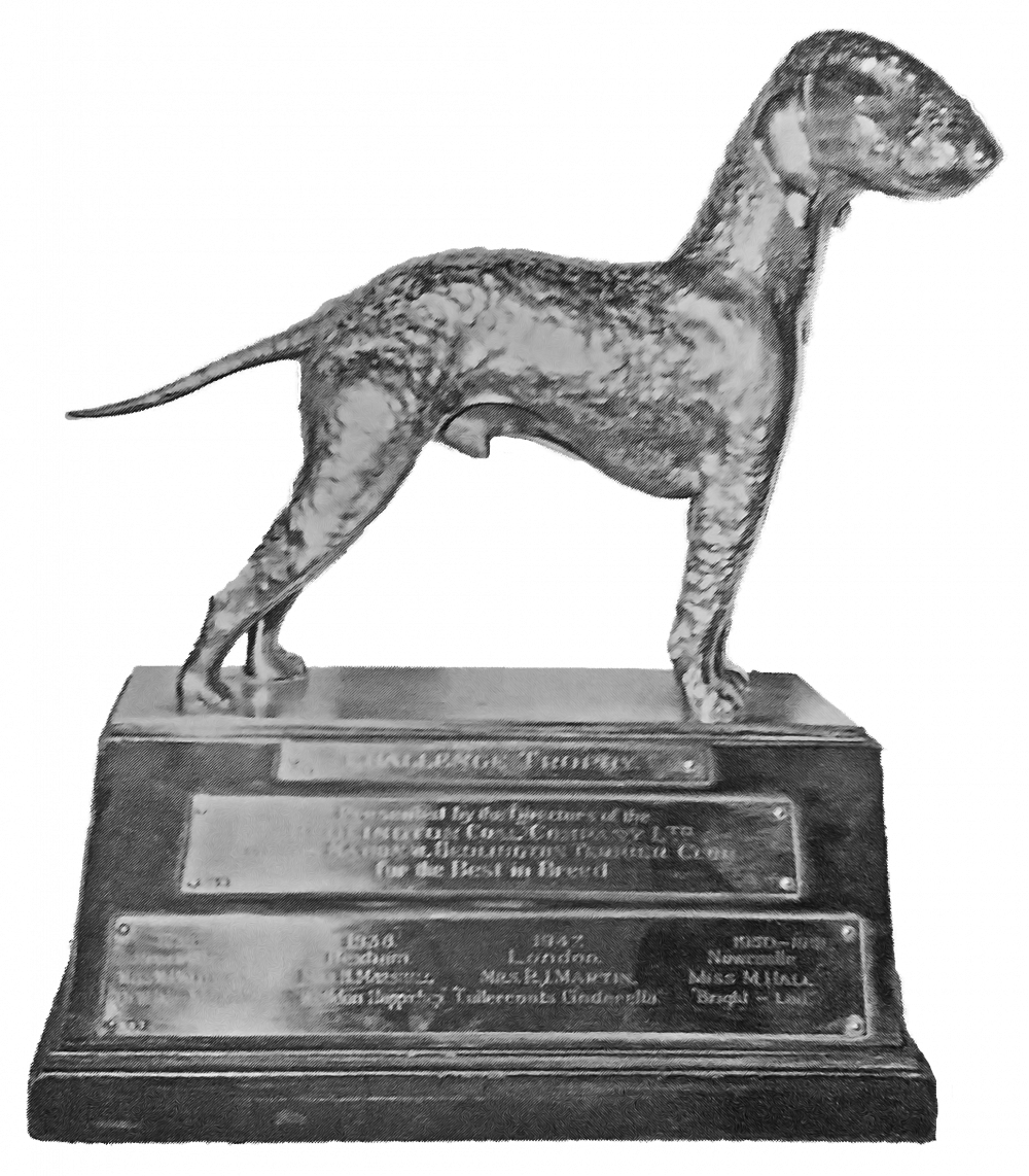 National Bedlington Terrier Club Trophy