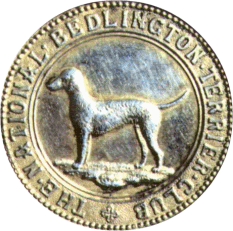 National Bedlington Terrier Club