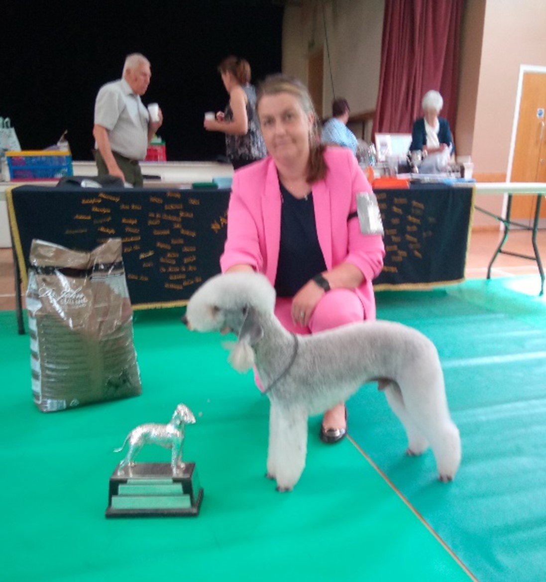 Bedlington Terrier winning best in show
