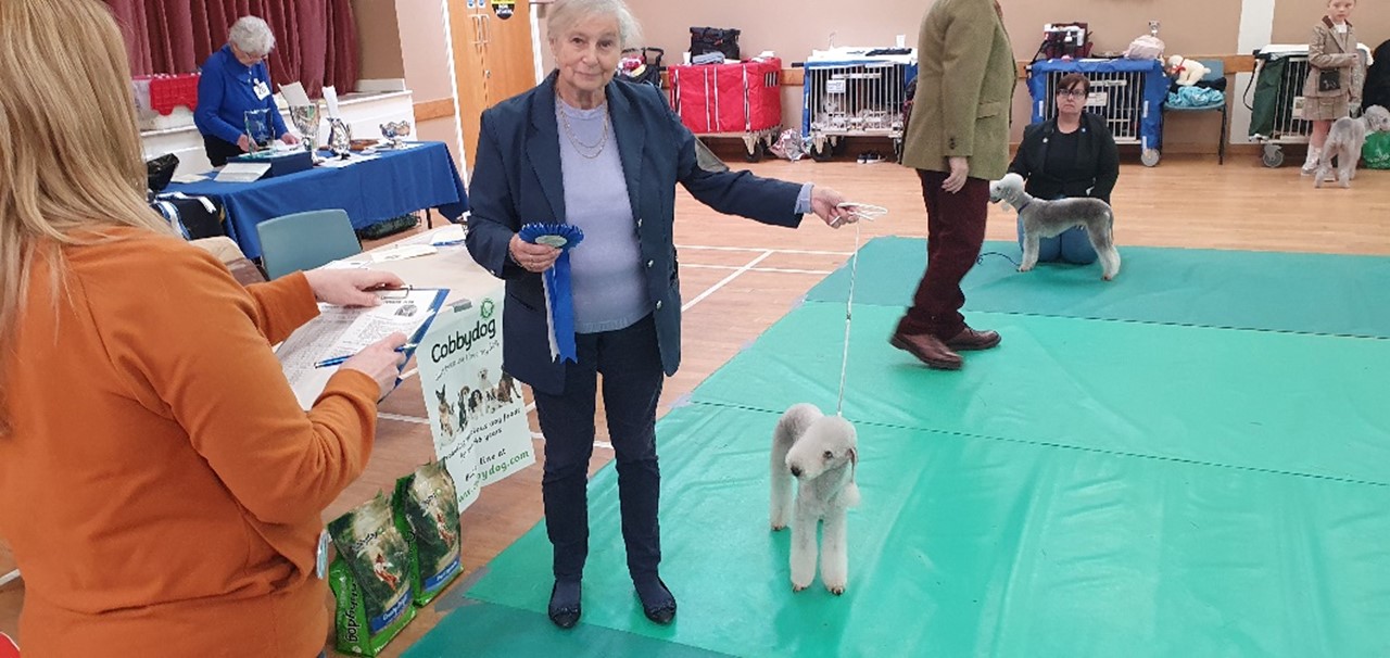 National Bedlington Terrier Club Open Show BIS 2023