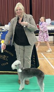 Bedlington Terrier Best in Show 2024