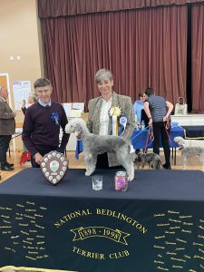Bedlington Terrier Best Puppy in Show 2024
