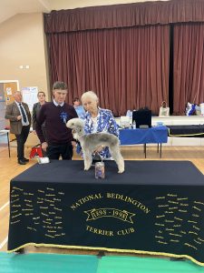 Bedlington Terrier Best Veteran in Show 2024