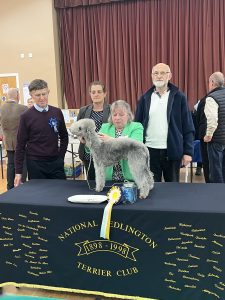 Bedlington Terrier Reserve Best in Show 2024