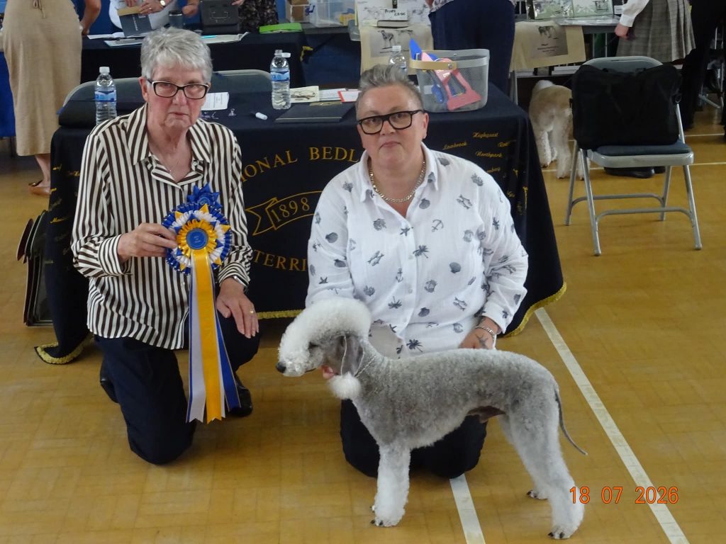 Bedlington Terrier Best in Show 2026