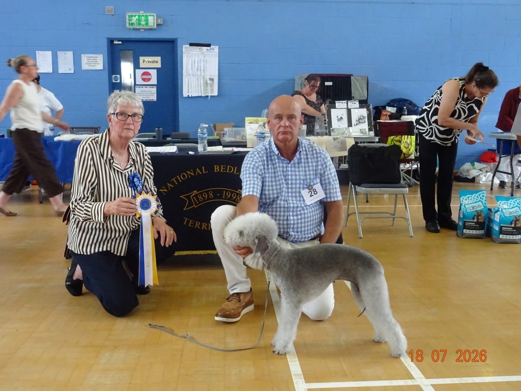 Bedlington Terrier Reserve Best In Show 2026