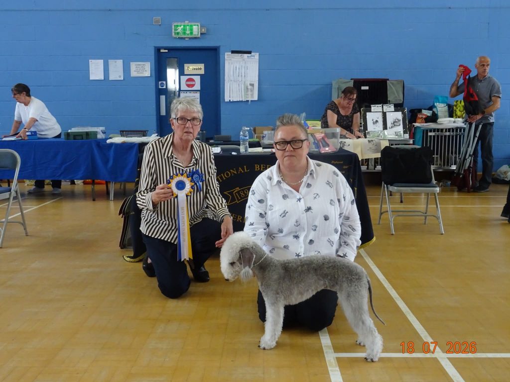 Bedlington Terrier Best Puppy In Show 2026