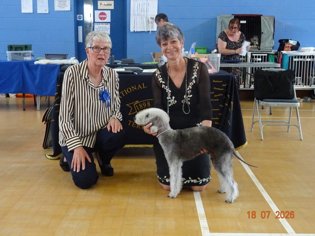 Bedlington Terrier Reserve Best Puppy In Show 2026
